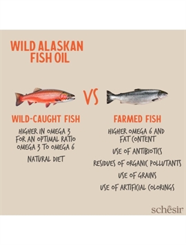 Schesir Grizzly Wild Lakseolie 